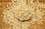 燕麦与大米营养对照表（燕麦代替米饭能减肥吗）