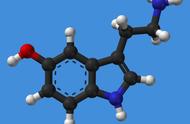 21世纪是生物学的世纪（21世纪是生物工程的世纪）