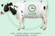 牛初乳蛋白质粉有没有危害（牛初乳粉跟蛋白粉哪个效果好）