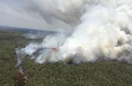 澳大利亚的大火给环境造成的影响（澳大利亚大火会不会影响全球气候）