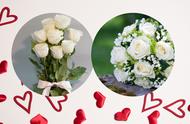 十朵白玫瑰和一朵百合的花语（10朵玫瑰搭配一朵百合的花语）
