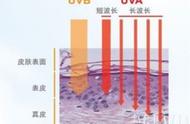 一年四季防晒好吗（一年四季用50倍的防晒好吗）