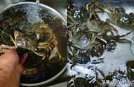 煮螃蟹一般煮几分钟（煮螃蟹需要多长时间最好）