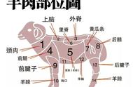 羊肉各部位图解及价格（羊肉各部位的吃法图片）