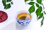 普洱茶生茶和熟茶有什么区别（普洱茶的正确喝法）