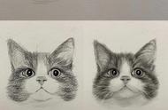 手绘素描猫咪图片（线描猫咪手绘图）