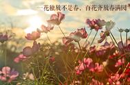 百花齐放猜个成语是什么（百花齐放四字成语）