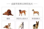 世界上22种禁犬（世界禁养犬有哪几种）