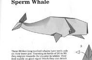 鲸鱼怎么折简单方法（怎么折鲸鱼慢教程）
