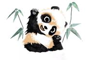熊猫的胃为什么能消化竹子（为啥不能喂熊猫吃肉）