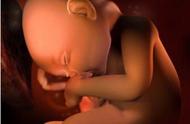 34周胎儿发育标准（34周早产儿成活率）