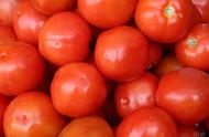 西红柿中有大量的维生素c（西红柿中含有什么维生素c）