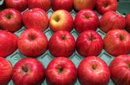 每天吃苹果对皮肤的好处（每天吃苹果对皮肤还有哪些好处）