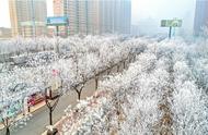 忽如一夜春雨来千树万树梨花开（千树万树梨花开的全诗）