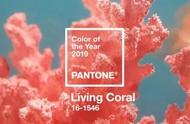 珊瑚红是什么颜色有图片（珊瑚红色是什么颜色）