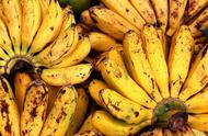 香蕉一天最多能吃几根（每天吃一个香蕉坚持1年）