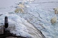 北极融化会对世界造成什么影响