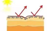 防晒霜跟防晒露区别（防晒露和防晒霜哪个效果更好）