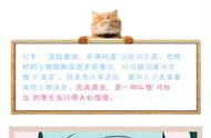 怀孕了能养猫吗（孕妇家来了猫是好事吗）