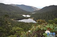 老君山名胜景区图片（老君山旅游风景区照片大全）