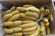 现在的香蕉都用了甲醛吗（香蕉去甲醛最好的方法）