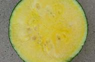 黄皮黄瓤的瓜是啥瓜呀（黄皮里面黄瓤黑籽叫什么瓜）