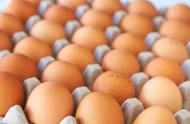 鲜鸡蛋怎样保存时间长（冰箱鸡蛋保鲜盒）