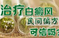 白茄子治疗白癜风（白癜风新药打一针就好）