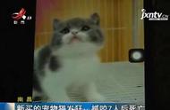 猫咬人有毒吗（猫咬了20天了猫没死用不用打针）