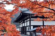 秋季去日本京都看红叶（日本秋天红叶的旅游攻略）
