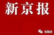 吉祥物名字推荐三个字（吉祥物名字大全好听的）