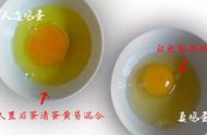 如何判断鸡蛋是否有蛋黄（怎么区分鸡蛋的蛋黄和蛋白）