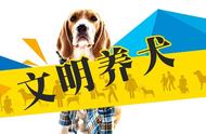 威海市禁养犬名单（威海养犬管理办法规定禁养犬名单）