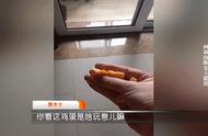 为什么熟鸡蛋用手按不碎（为什么煮熟的鸡蛋捏不碎）