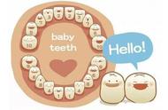 孩子出牙的过程（婴儿出牙的整个过程）
