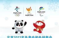 参加北京冬奥会志愿者的条件（北京冬奥会志愿者精神）