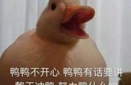 duck不必下一句怎么接（duck不必下一句怎么回）