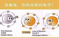 清除自由基最好方法（去除自由基最简单的方法）