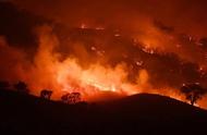 澳大利亚火灾影响生态吗（澳大利亚为什么火灾频繁）