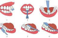 口腔健康和卫生知识（10个口腔健康小常识与宣传）