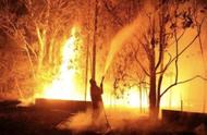 澳洲大火是否控制了（澳洲大火怎么引起的）