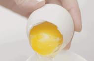 山鸡蛋和普通鸡蛋的区别（石鸡蛋和普通鸡蛋的区别）