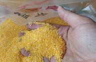 干玉米渣做法（干玉米渣的10种吃法）