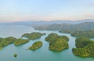 岛屿生物地理学名词解释（岛屿生物地理学案例）