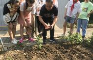 小学生种植花生简易方法（小学种植花生的方法与步骤）