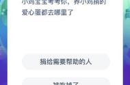 养小鸡捐的爱心蛋都去哪了（北京春苗慈善基金会捐款怎么捐）