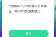 雄鹿有什么再生功能（雄鹿的生理结构和人类一样吗）