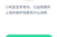 公益周期间上线的保护动物有什么（保护动物的公益活动有哪些）