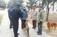 禁养犬问题大全（城市禁止养犬的正确处理方法）