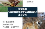 国家重点保护野生动物的保护级别（国家重点保护野生动物名单公布）